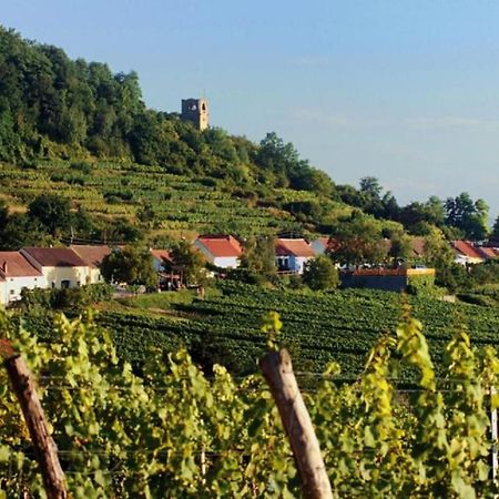 Apartamento Prabatsch-Aichinger Winzergut Langenlois Exterior foto