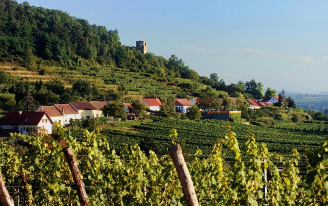 Apartamento Prabatsch-Aichinger Winzergut Langenlois Exterior foto